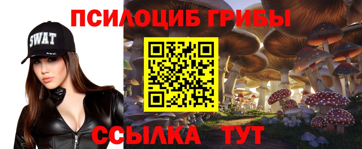 Псилоцибиновые грибы GOLDEN TEACHER Кингисепп